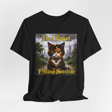 Load image into Gallery viewer, I'm A Ray of F*cking Sunshine