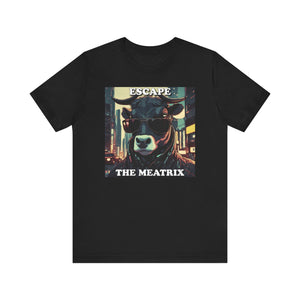 Escape the Meatrix